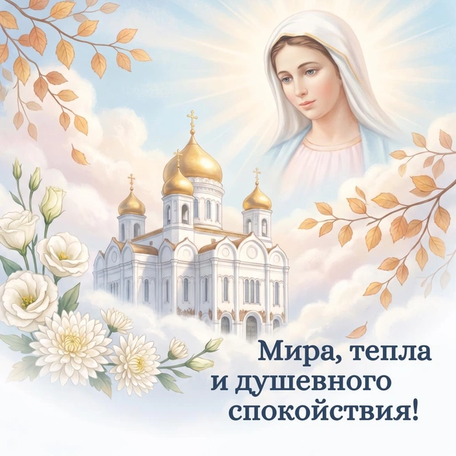 Источник: Городские медиа