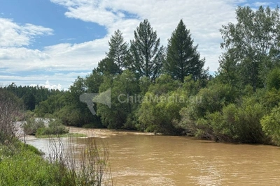 Прокуратура контролирует загрязнение рек в Забайкалье