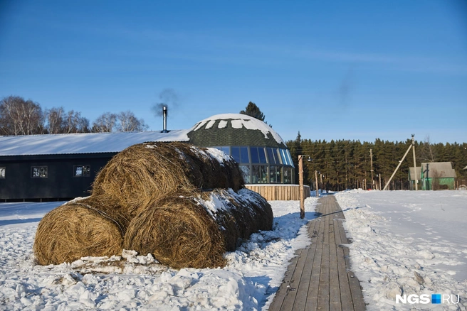 Вдалеке видны оставленные в наследство советские избушки  | Источник: Александр Ощепков / NGS.RU 