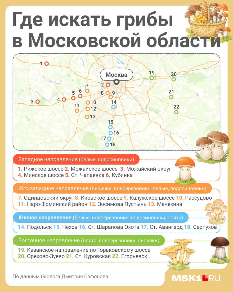 Вот карта мест в Подмосковье, где тихая охота будет особенно удачной | Источник: Полина Авдошина / Городские медиа
