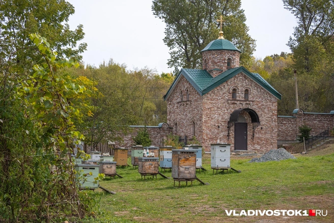 Источник: Елена Буйвол / VLADIVOSTOK1.RU