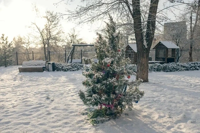 Прогноз погоды в Ростове на Новый год: выхолаживание и потепление