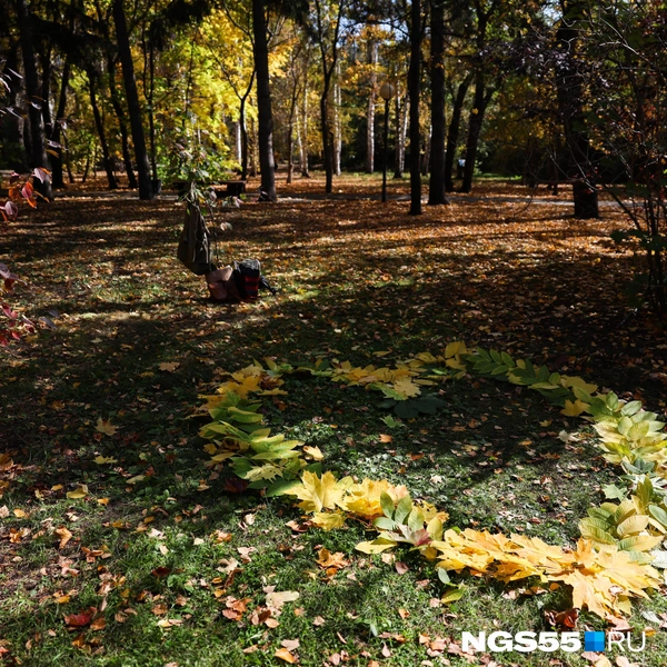 С любовью, осень | Источник: Евгений Софийчук / NGS55.RU