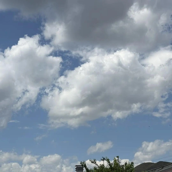 С погодой повезло&nbsp;— было тепло и ясно | Источник: stylebyalenaresh / Max.ru