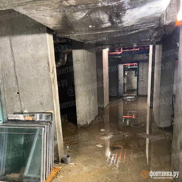 Источник: читатель «Фонтанки»