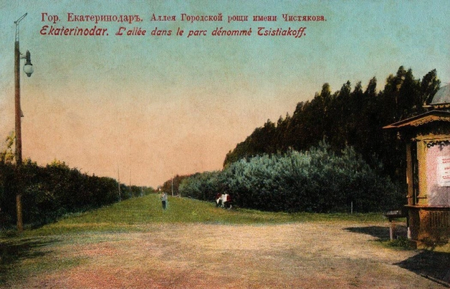 Так выглядела роща в 1913 году  | Источник: Pastvu.com