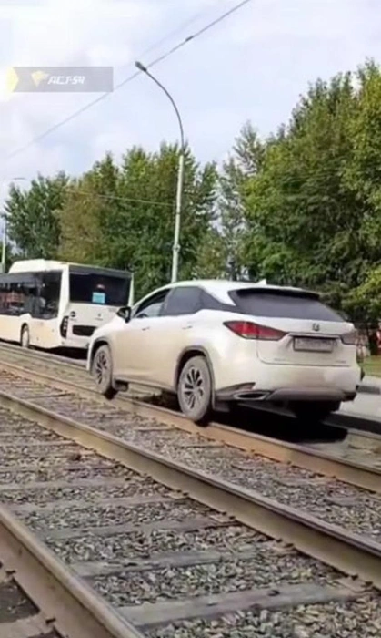 Аналогичный случай произошел в прошлом августе | Источник: «АСТ-54» / «ВКонтакте»