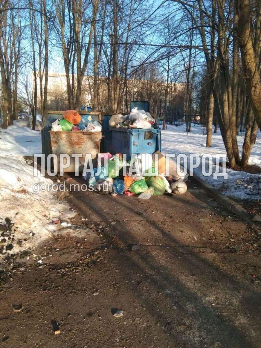 В Троицком административном округе не вывозят мусор | Источник: gorod.mos.ru