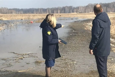 Паводок обрушил перекрытие на дороге в Новосибирской области