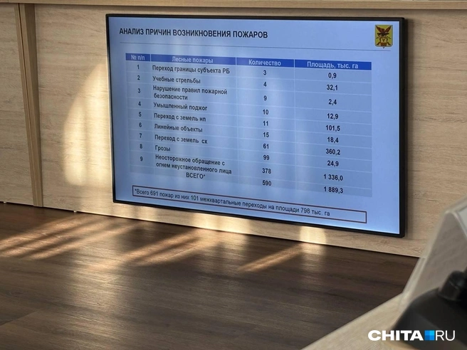 Источник: Артем Стромилов / CHITA.RU