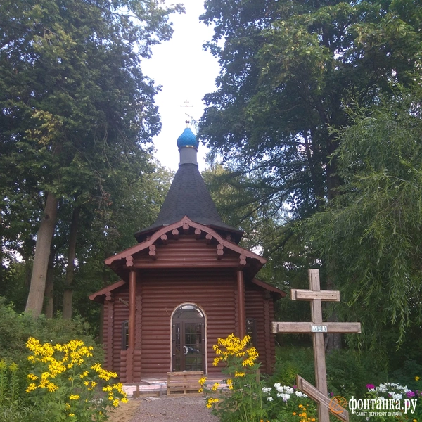 Источник: Анастасия Коренькова / «Фонтанка.ру»
