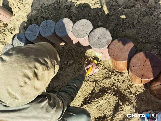 Источник: Любовь Никитина / CHITA.RU