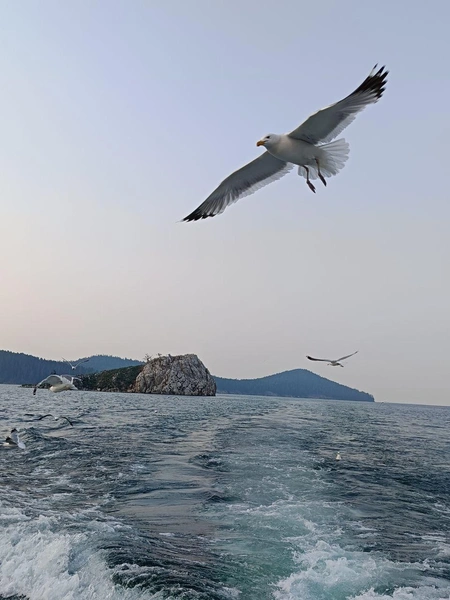 Источник: «Кристальный Байкал»