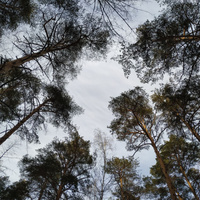 Аватарка Alll