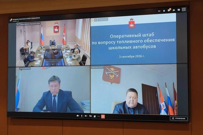 Главы районов были на связи онлайн | Источник: Дмитрий Махонин / Telegram