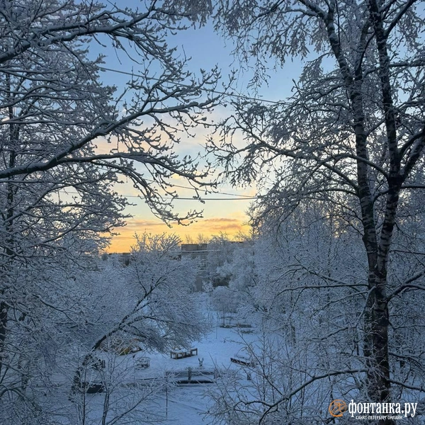 Источник: читатель «Фонтанки»