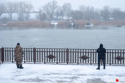 Погода в Ростовской области 14 января: будет ли теплее?