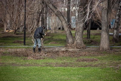 В Петербурге планируют ремонт почти 200 домов и памятников