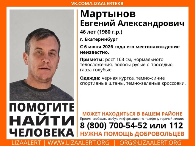 Источник: Поисковый отряд «ЛизаАлерт» Свердловской области