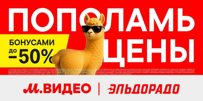 Источник: пресс-служба компании ООО «МВМ»
