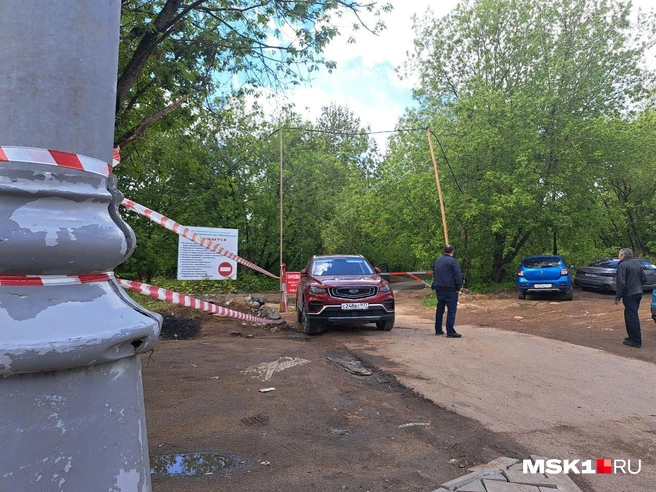 Источник: Арина Майорова / MSK1.RU