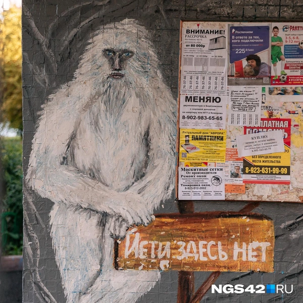 Источник: Максим Серков / NGS42.RU