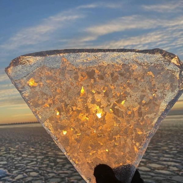 Мороз напек «блинчиков» на глади Финского залива  | Источник: читатель «Фонтанки» Надежда