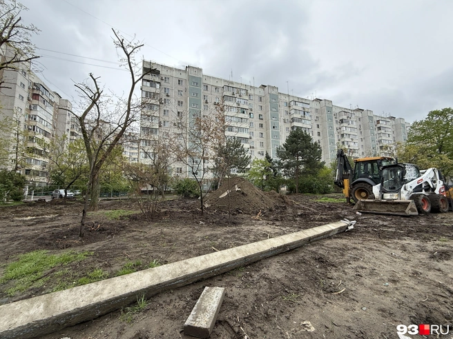 Деревья повредили, когда демонтировали столбы | Источник: Валерия Дульская / 93.RU