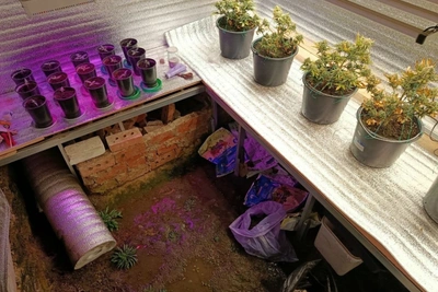 В Тамбове задержали мужчину за наркорастения