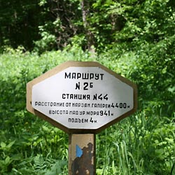 Минеральные объятья кавказских вод