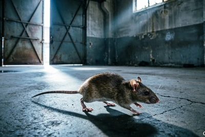 На Камчатке суд взыскал с арендатора гаража 750 тысяч