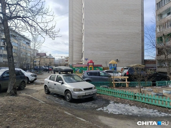 Выбор во дворах большой | Источник: Любовь Никитина