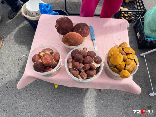 На выбор белые грибы за 400, 500 и 800 рублей | Источник: Радик Енчу / 72.RU