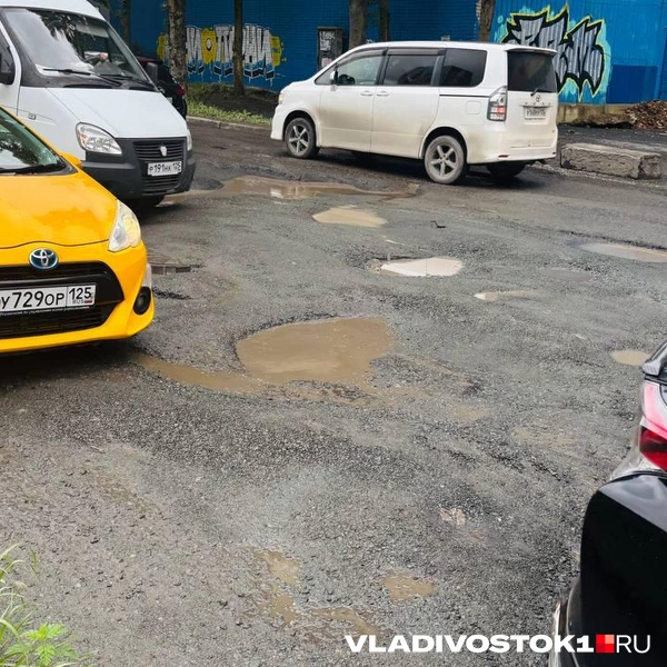 Источник: Елена Буйвол / VLADIVOSTOK1.RU