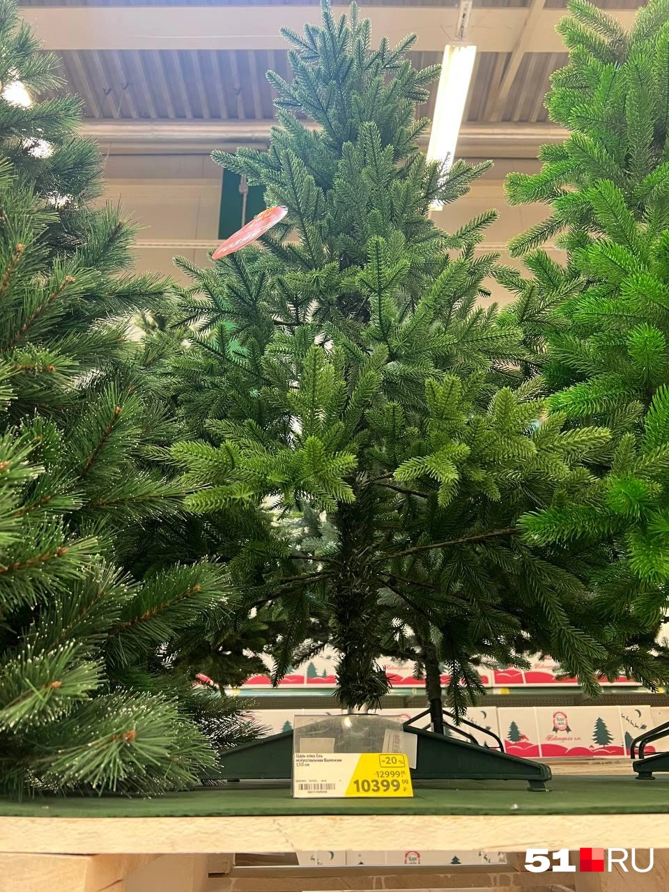 Источник: Александра Балаба