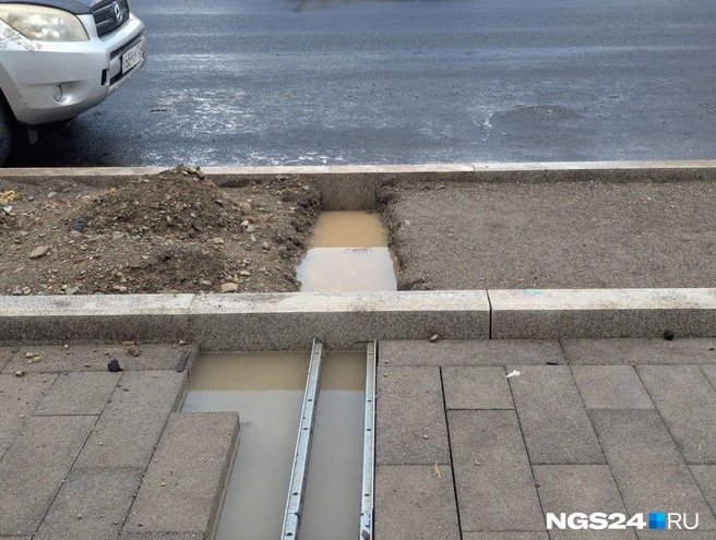 Источник: Мария Ленц / NGS24.RU 