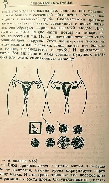 Не только аист и капуста: как в советских книгах писали о половом воспитании