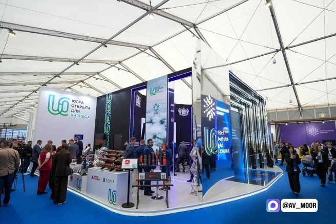 Источник: пресс-служба правительства Тюменской области