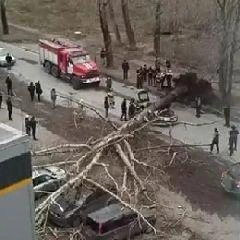 Источник: city-n.ru