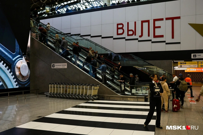 Временные ограничения ввели в Шереметьево, Домодедово, Внуково и Жуковском | Источник: Артём Устюжанин / MSK1.RU