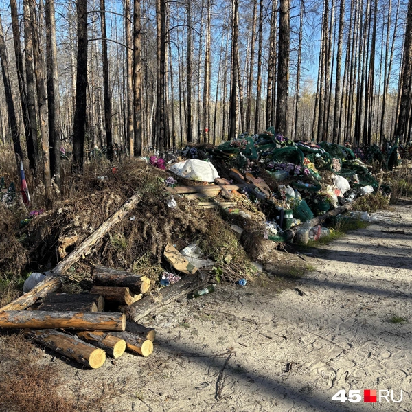 Источник: Кирилл Митин