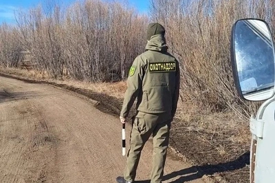 Капканы и петли изъяли у охотников в Забайкалье