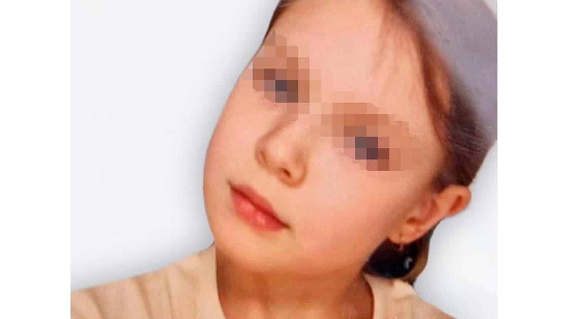 Три дня в одной квартире с похитителем: как жила 9-летняя Саша, пока ее искал весь Смоленск