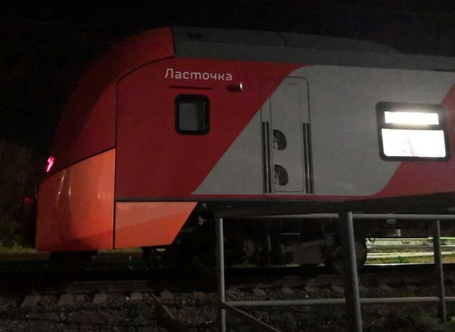 Под Рязанью заметили электропоезд «Ласточка» | ya62.ru