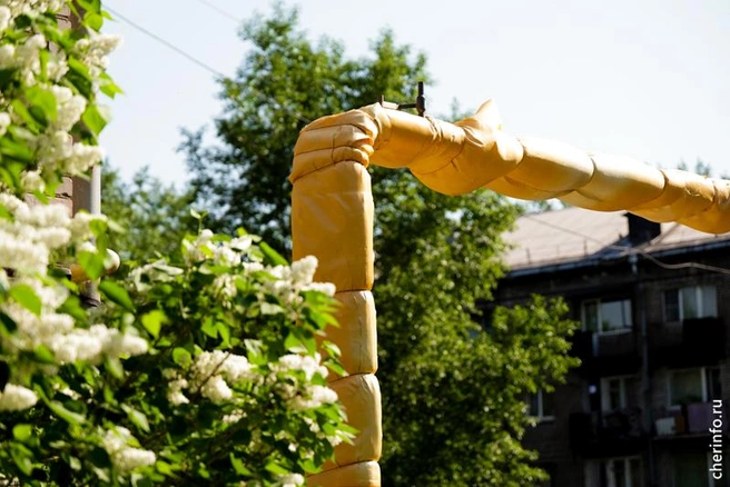 Источник: st.cherinfo.ru