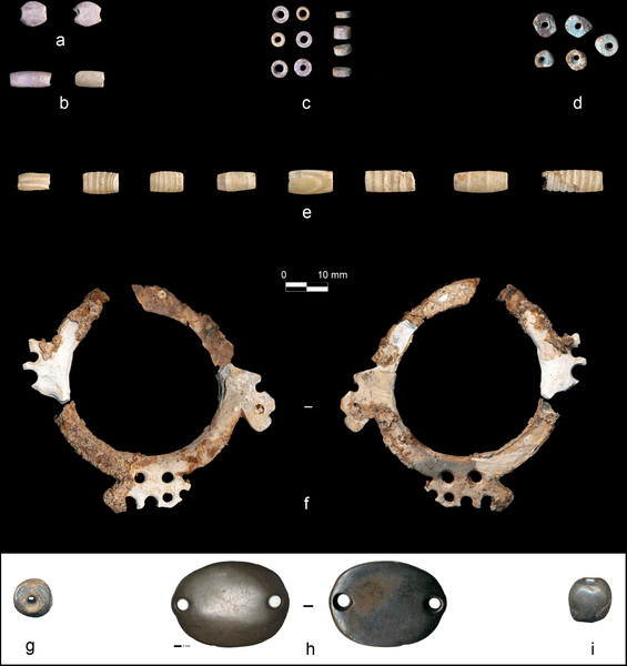 2500 бусин и раковин: археологи восстановили погребальное ожерелье 8-летнего ребенка из эпохи неолита