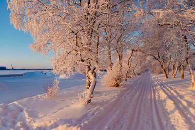 В Архангельской области в понедельник ударят морозы до -30°