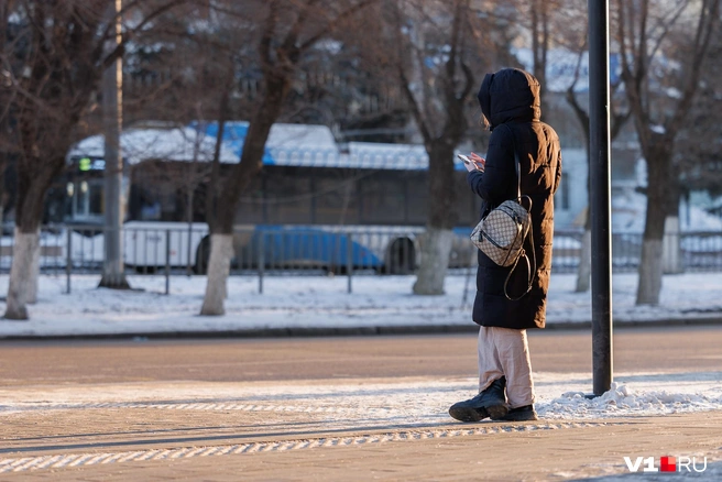 На Невской можно было встретить нескольких пешеходов | Источник: Алексей Волхонский / V1.RU