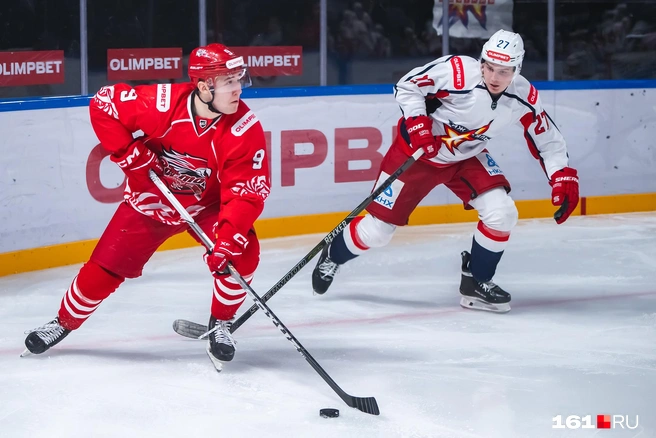 Источник: Евгений Вдовин / 161.RU