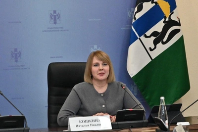 Избирком Новосибирской области возглавила Наталья Кошкина